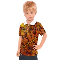 Autumn Leaves Forest Fall Color Kids  Polo Tee