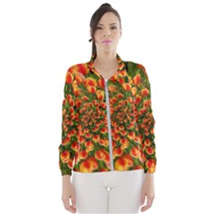 Tulips Arrangement Many Blossom Women s Windbreaker by Wegoenart