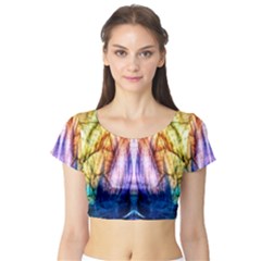 Abstract Pattern Color Colorful Short Sleeve Crop Top by Wegoenart