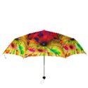 Color Background Structure Lines Folding Umbrellas View3