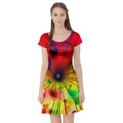 Color Background Structure Lines Short Sleeve Skater Dress by Wegoenart