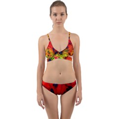 Color Background Structure Lines Wrap Around Bikini Set by Wegoenart