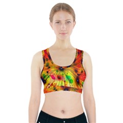 Color Background Structure Lines Sports Bra With Pocket by Wegoenart