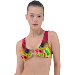 Color Background Structure Lines Ring Detail Bikini Top