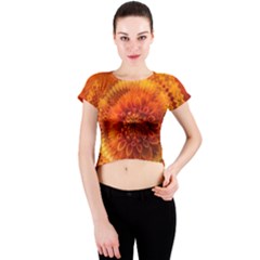 Abstract Dahlia Orange Autumn Crew Neck Crop Top by Wegoenart