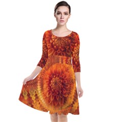 Abstract Dahlia Orange Autumn Quarter Sleeve Waist Band Dress by Wegoenart