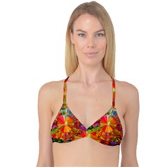 Kaleidoscope Mandala Color Reversible Tri Bikini Top