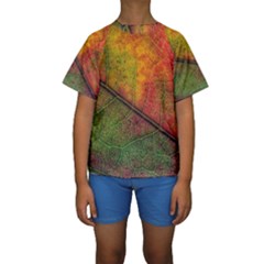 Fall Foliage Color Leaf Veins Kids  Short Sleeve Swimwear by Wegoenart