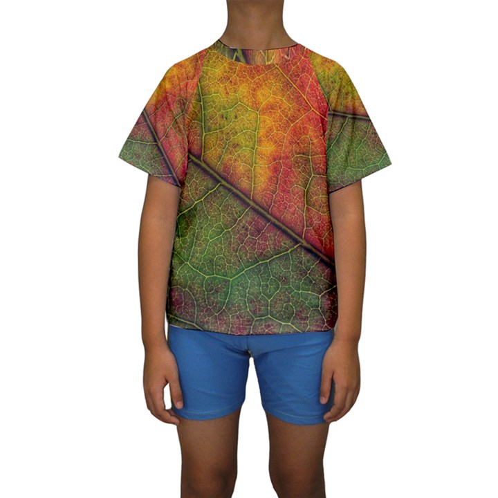 Fall Foliage Color Leaf Veins Kids  Short Sleeve Swimwear