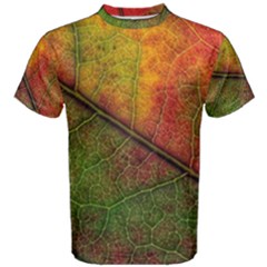 Fall Foliage Color Leaf Veins Men s Cotton Tee by Wegoenart