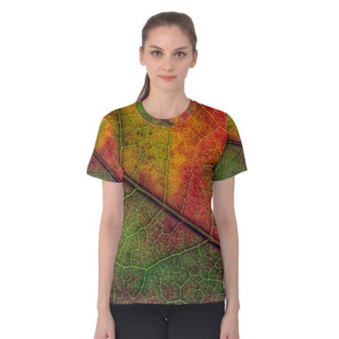 Fall Foliage Color Leaf Veins Women s Cotton Tee by Wegoenart