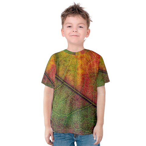 Fall Foliage Color Leaf Veins Kids  Cotton Tee by Wegoenart