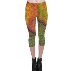 Fall Foliage Color Leaf Veins Capri Leggings  by Wegoenart