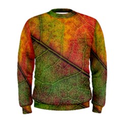 Fall Foliage Color Leaf Veins Men s Sweatshirt by Wegoenart