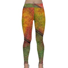 Fall Foliage Color Leaf Veins Classic Yoga Leggings by Wegoenart