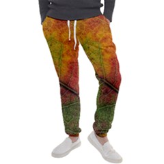 Fall Foliage Color Leaf Veins Men s Jogger Sweatpants by Wegoenart