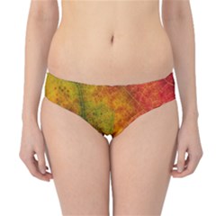 Fall Foliage Color Leaf Veins Hipster Bikini Bottoms by Wegoenart