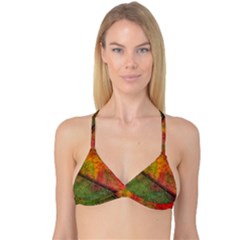 Fall Foliage Color Leaf Veins Reversible Tri Bikini Top by Wegoenart