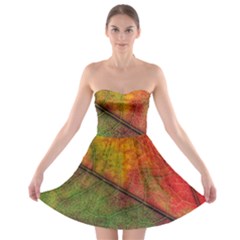 Fall Foliage Color Leaf Veins Strapless Bra Top Dress by Wegoenart