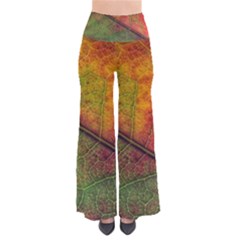 Fall Foliage Color Leaf Veins So Vintage Palazzo Pants by Wegoenart