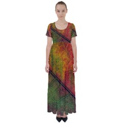 Fall Foliage Color Leaf Veins High Waist Short Sleeve Maxi Dress by Wegoenart