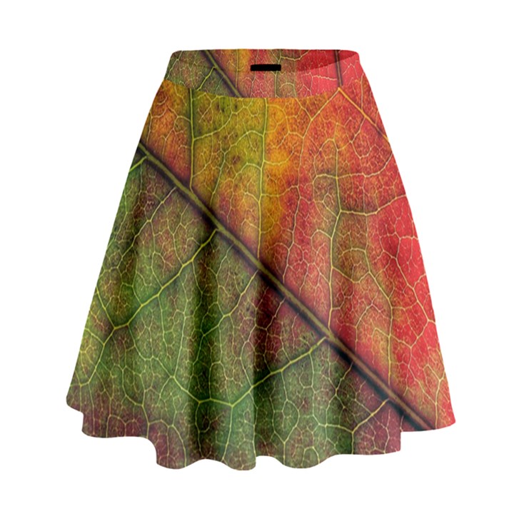 Fall Foliage Color Leaf Veins High Waist Skirt