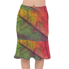 Fall Foliage Color Leaf Veins Short Mermaid Skirt by Wegoenart