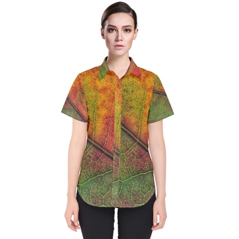 Fall Foliage Color Leaf Veins Women s Short Sleeve Shirt by Wegoenart