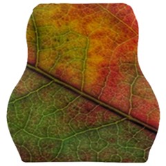 Fall Foliage Color Leaf Veins Car Seat Velour Cushion  by Wegoenart