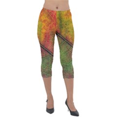 Fall Foliage Color Leaf Veins Lightweight Velour Capri Leggings  by Wegoenart