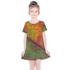 Fall Foliage Color Leaf Veins Kids  Simple Cotton Dress by Wegoenart