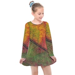 Fall Foliage Color Leaf Veins Kids  Long Sleeve Dress by Wegoenart