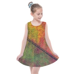 Fall Foliage Color Leaf Veins Kids  Summer Dress by Wegoenart