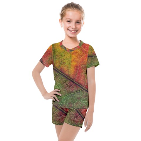 Fall Foliage Color Leaf Veins Kids  Mesh Tee And Shorts Set by Wegoenart