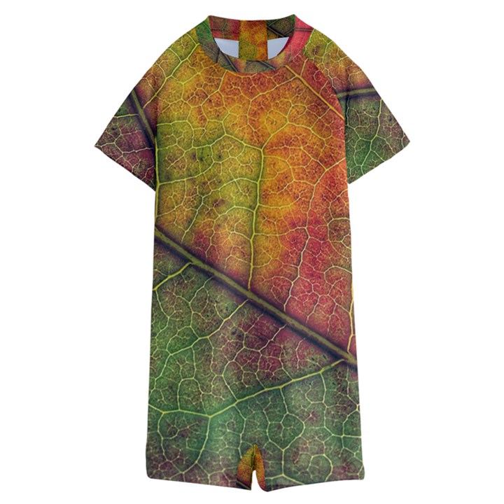 Fall Foliage Color Leaf Veins Kids  Boyleg Half Suit Swimwear