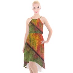 Fall Foliage Color Leaf Veins High-low Halter Chiffon Dress  by Wegoenart