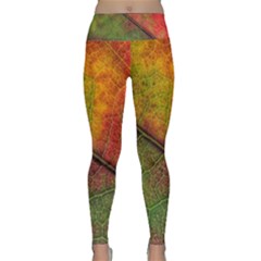 Fall Foliage Color Leaf Veins Lightweight Velour Classic Yoga Leggings by Wegoenart