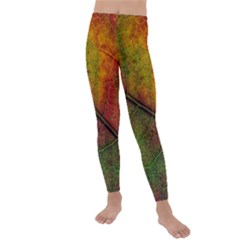 Fall Foliage Color Leaf Veins Kids  Lightweight Velour Leggings by Wegoenart