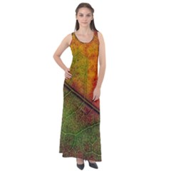 Fall Foliage Color Leaf Veins Sleeveless Velour Maxi Dress by Wegoenart