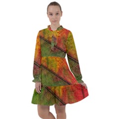 Fall Foliage Color Leaf Veins All Frills Chiffon Dress by Wegoenart