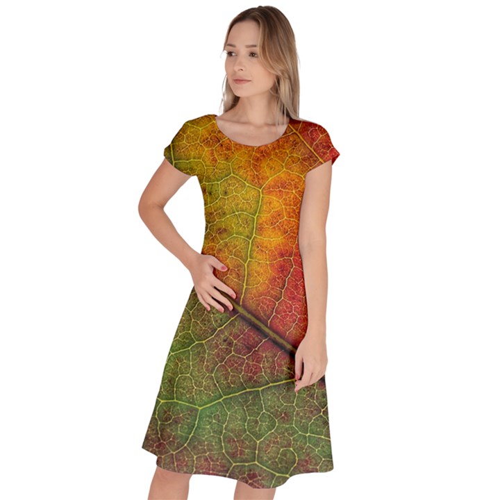 Fall Foliage Color Leaf Veins Classic Short Sleeve Dress