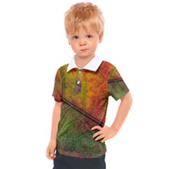 Fall Foliage Color Leaf Veins Kids  Polo Tee