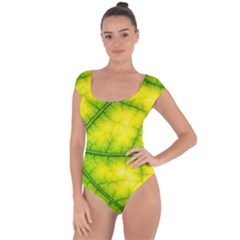 Photosynthesis Leaf Green Structure Short Sleeve Leotard 