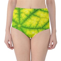 Photosynthesis Leaf Green Structure Classic High-waist Bikini Bottoms by Wegoenart