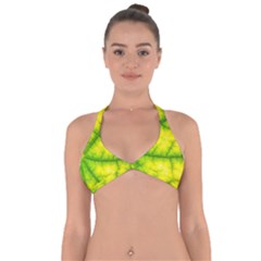 Photosynthesis Leaf Green Structure Halter Neck Bikini Top by Wegoenart