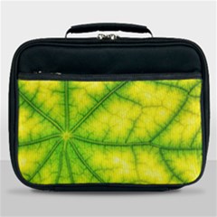 Photosynthesis Leaf Green Structure Lunch Bag by Wegoenart