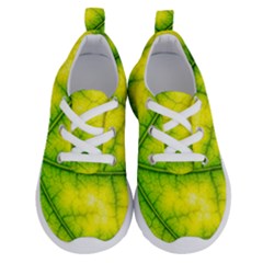 Photosynthesis Leaf Green Structure Running Shoes