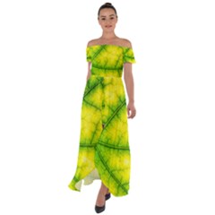 Photosynthesis Leaf Green Structure Off Shoulder Open Front Chiffon Dress