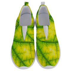 Photosynthesis Leaf Green Structure No Lace Lightweight Shoes by Wegoenart