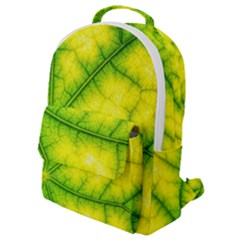 Photosynthesis Leaf Green Structure Flap Pocket Backpack (small) by Wegoenart